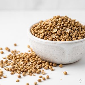 تخم گشنیز سرتی